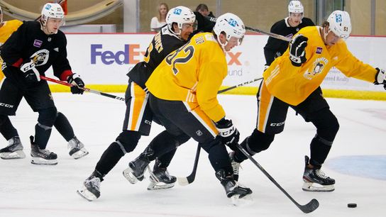 Development camp: Takeaways from scrimmage to close camp taken in Cranberry, Pa. (Penguins)